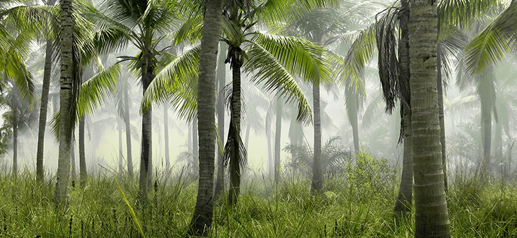 Listen: The Voice From  Within